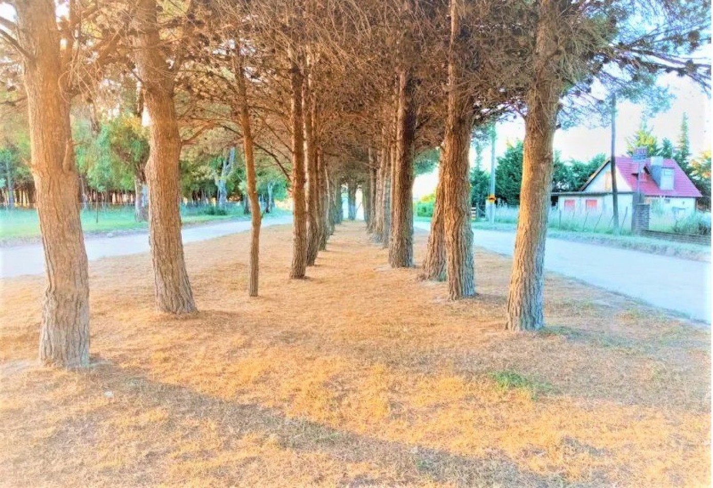 LOTE EN ZONA DE QUINTAS EN BALNEARIO RETA, PARTIDO DE TRES ARROYOS.
