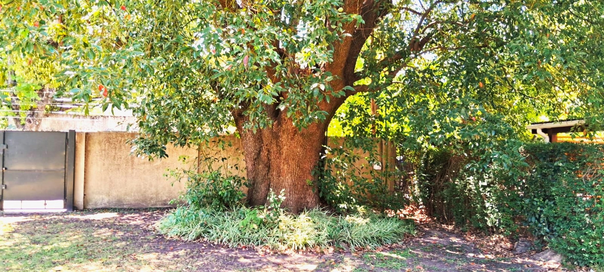 CASAQUINTA EN VENTA 2055M2.- FCO. ALVAREZ, SON TRES LOTES JUNTOS, DOS SON ADYASENTES Y UNO EN MARTILLO CON DOBLE ENTRADA