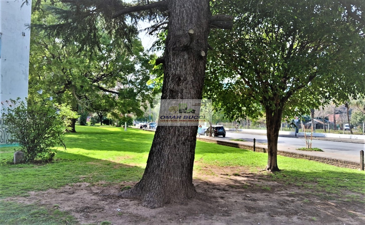 Departamento de dos ambientes en planta baja, en Parque Avellaneda dos ambientes bien cumplidos.