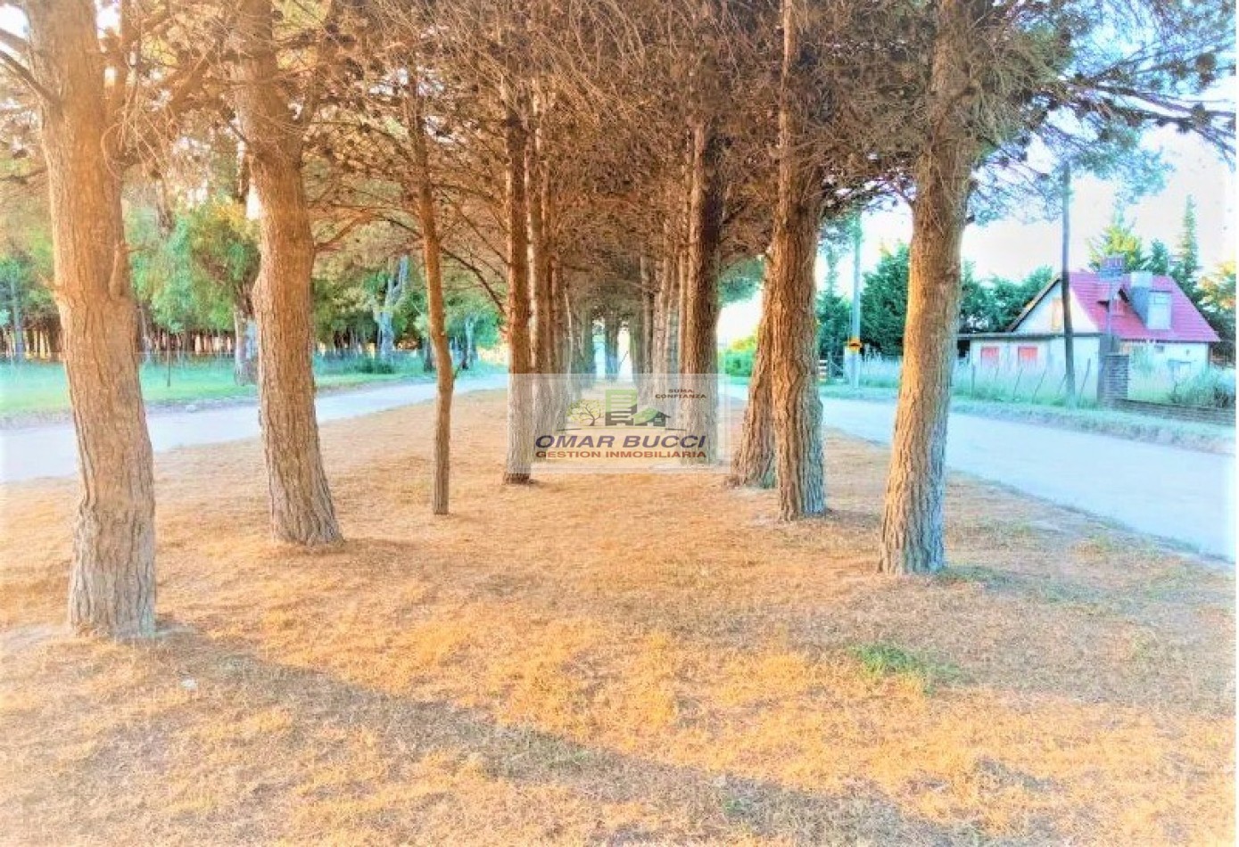 VENDO o PERMUTO TERRENO/ LOTE EN ZONA DE QUINTAS EN BALNEARIO RETA, PARTIDO DE TRES ARROYOS.